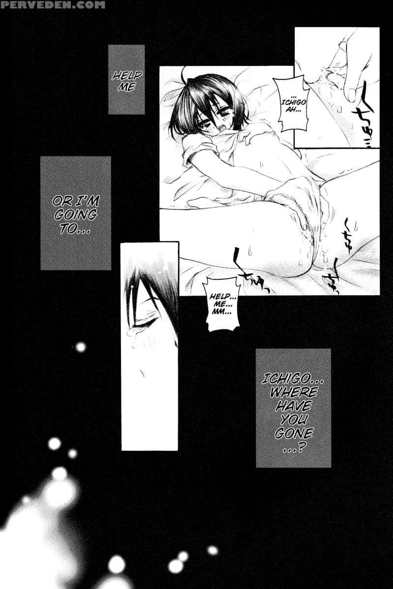 Rukia Kuchiki Minimum Maniax File. 1