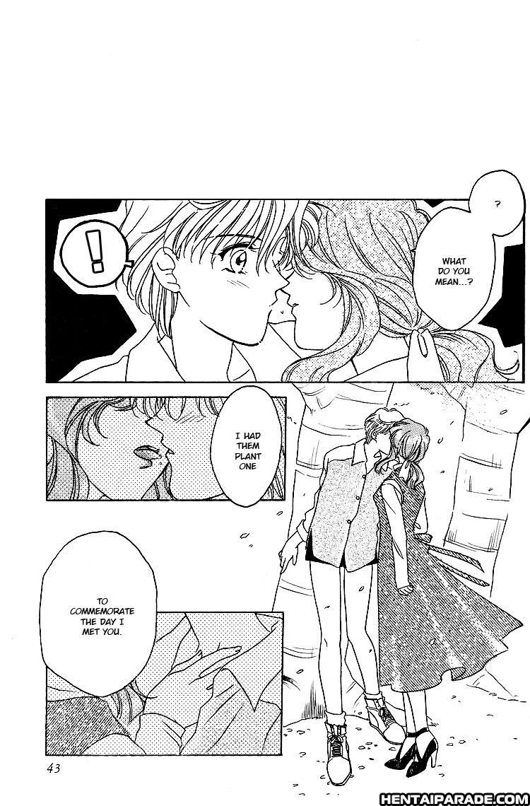 Sailor Moon Dj - Guidebook 1