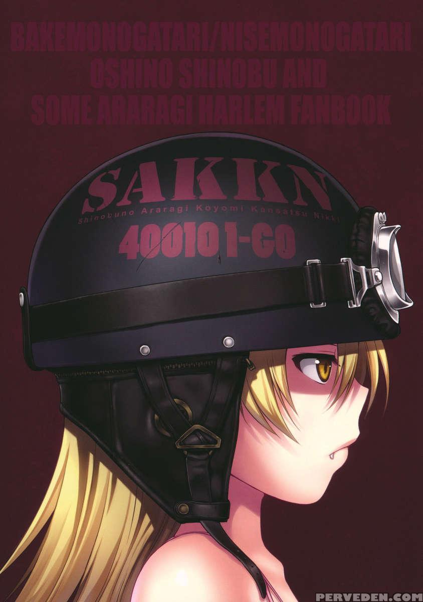 Sakkn 1