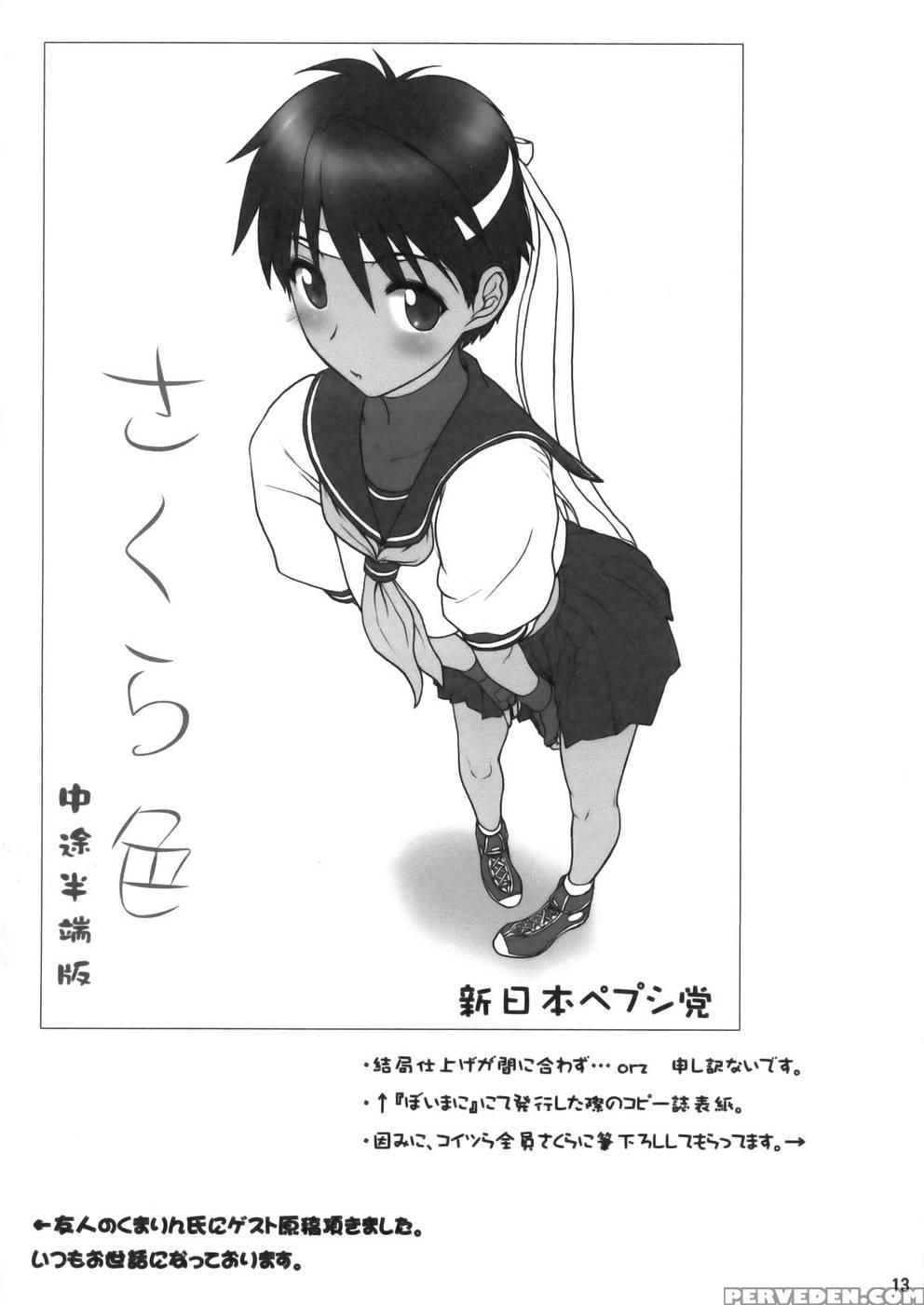 Sakura Shoku - Street Fighter 1