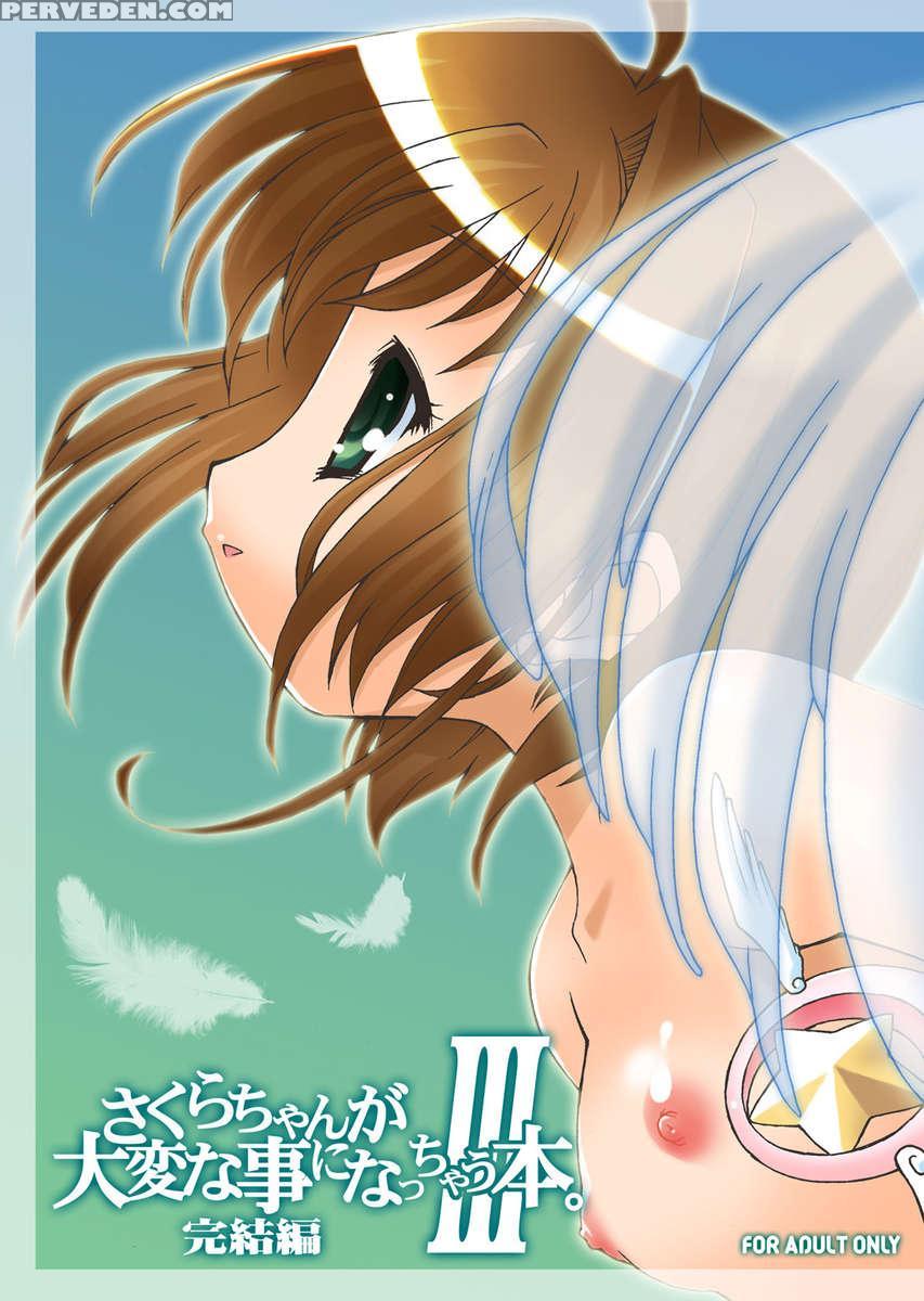 Sakura-chan's Amazing Adventure Book Iii 1