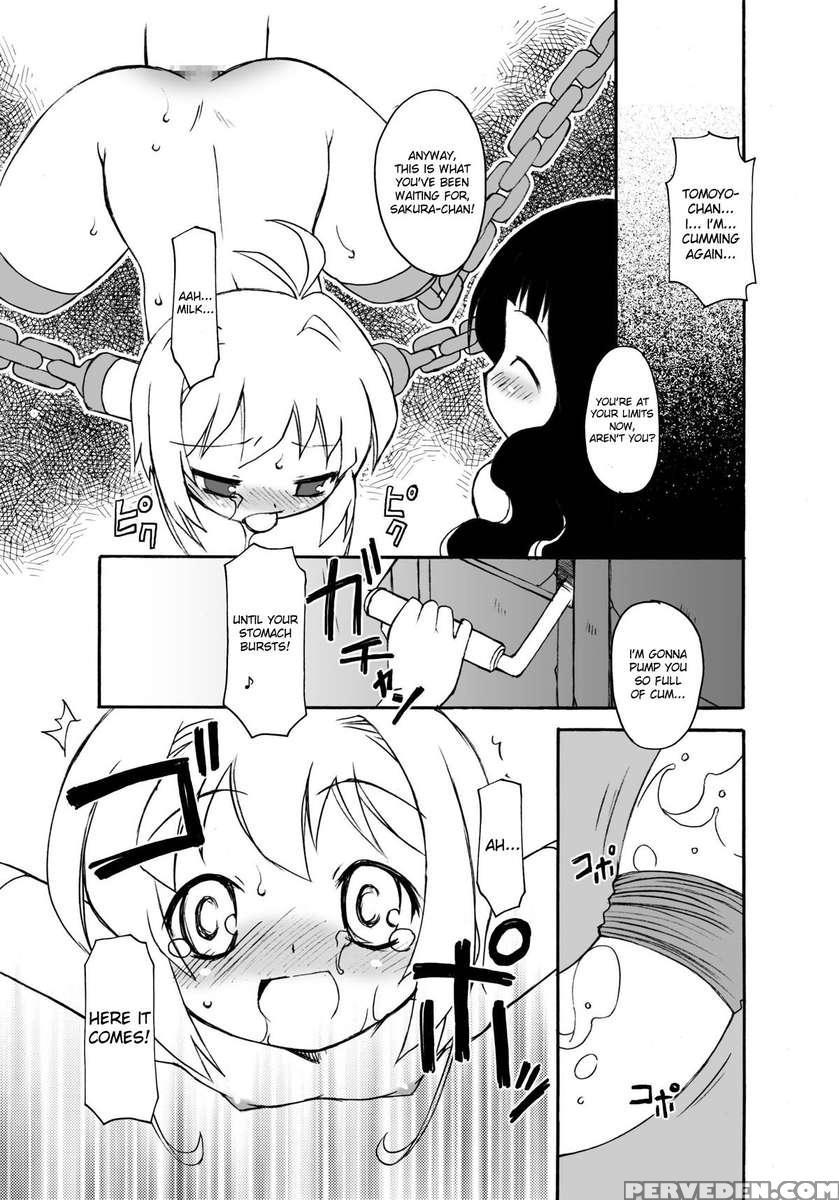 Sakura-chan's Amazing Adventure Book Iii 1