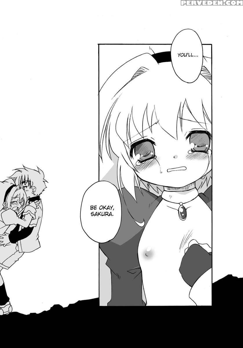 Sakura-chan's Amazing Adventure Book Iii 1
