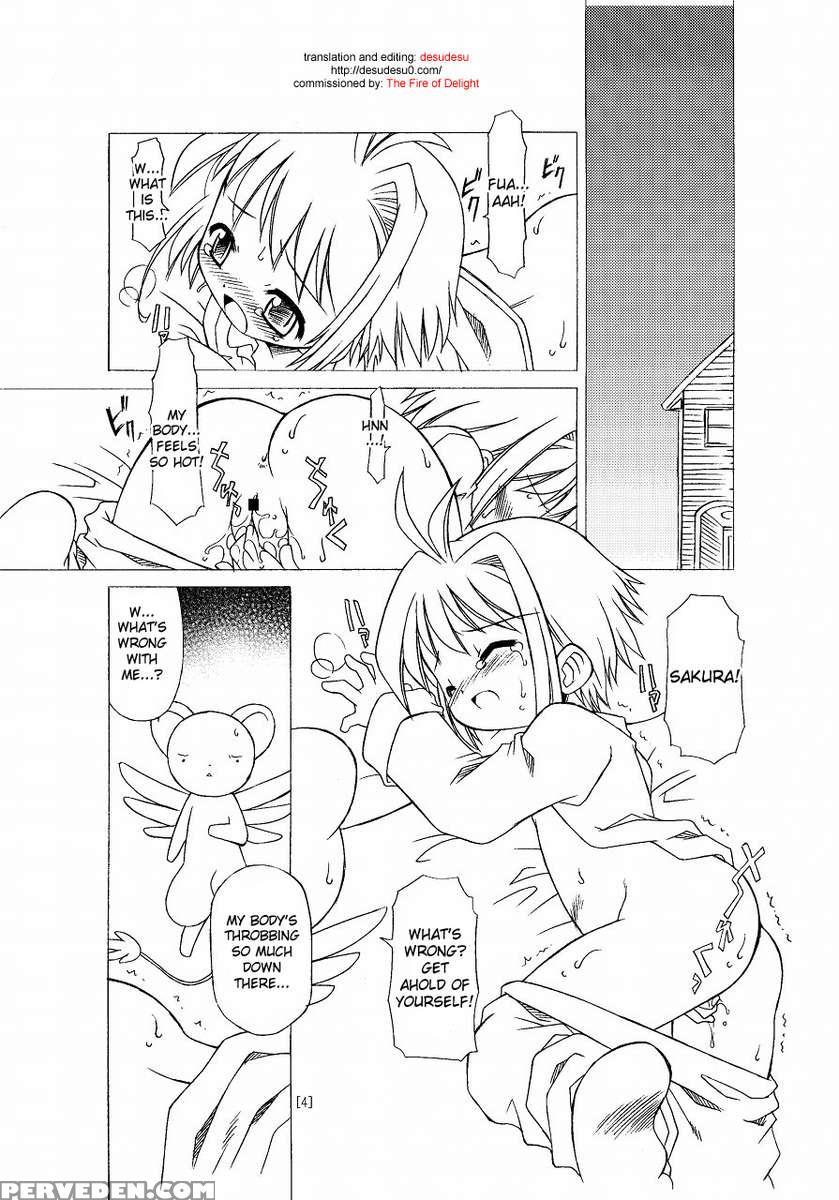 Sakura-chan's Amazing Adventure Book. 1