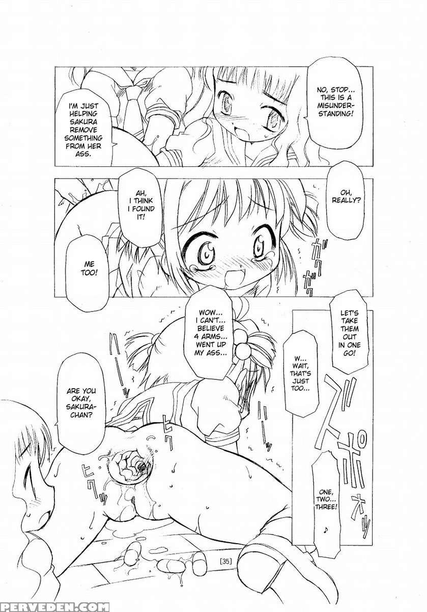 Sakura-chan's Amazing Adventure Book. 1