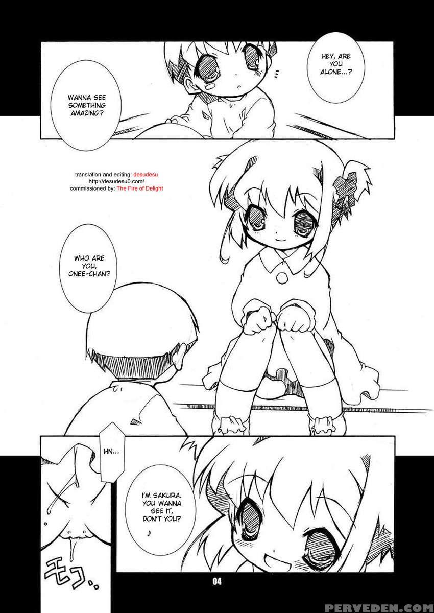Sakura-chans Amazing Adventure Book. 2 1