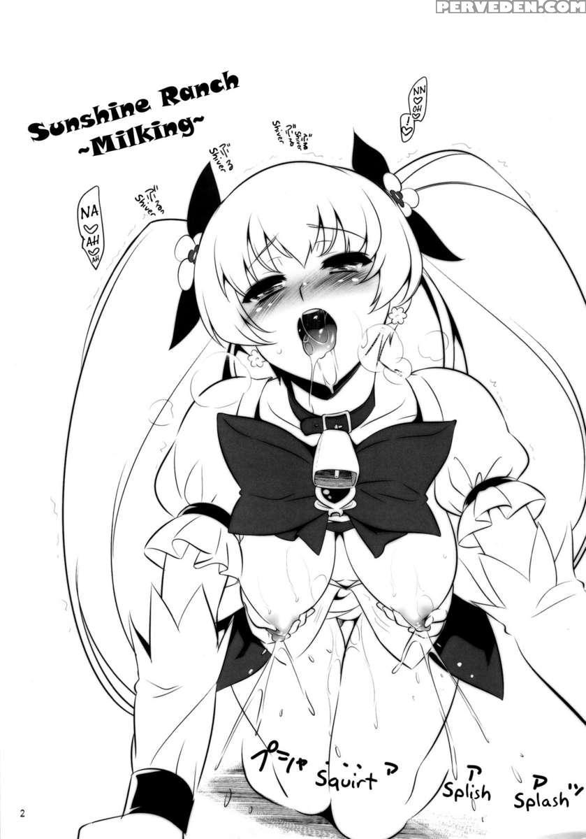 Sankuri 1
