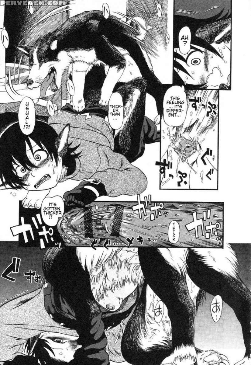 Secret Dog God Kokoko-chan 1