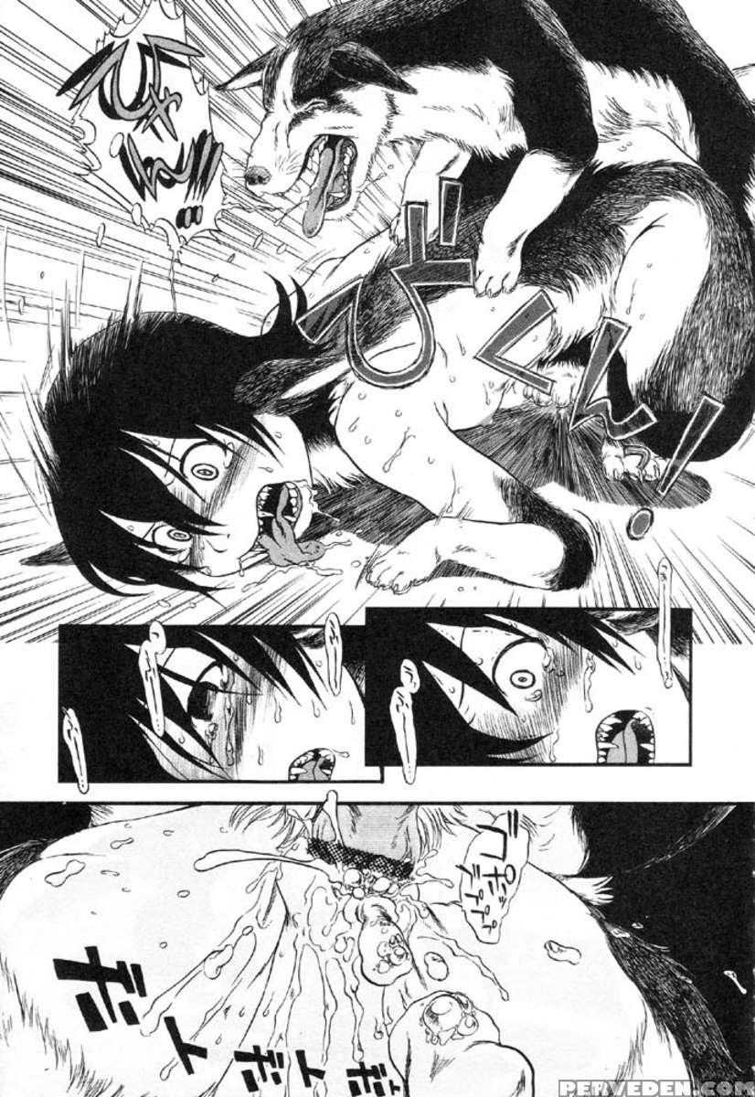 Secret Dog God Kokoko-chan 1