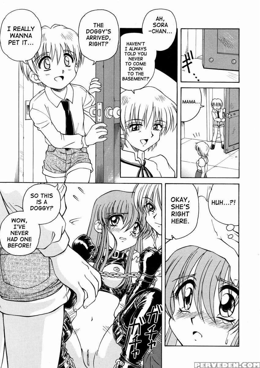 Seeing Eye Dog 1