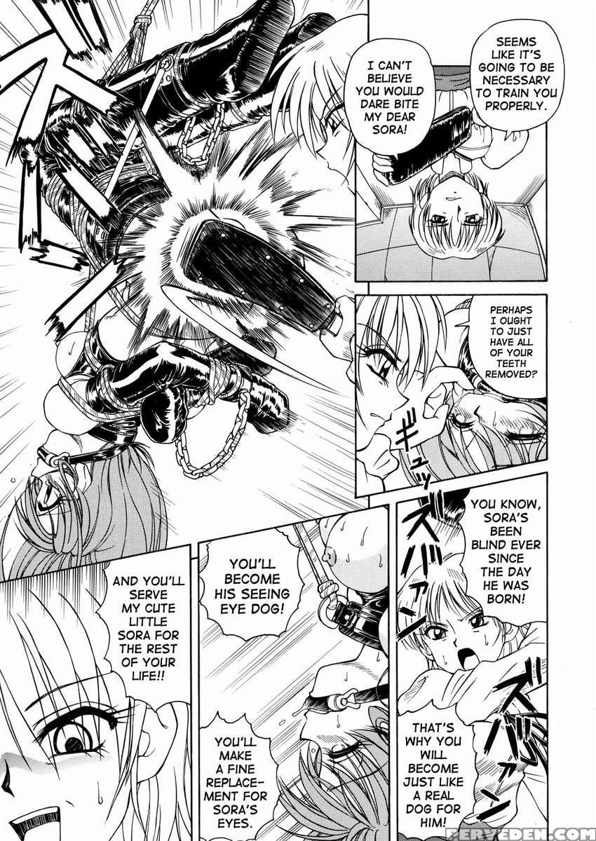 Seeing Eye Dog 1