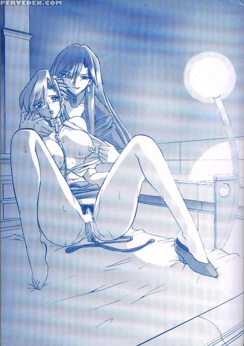 Sein -zain- 1