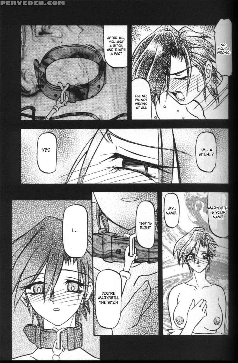 Sein -zain- 1