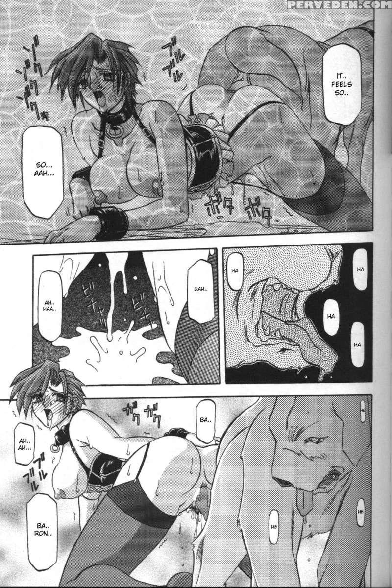 Sein -zain- 1
