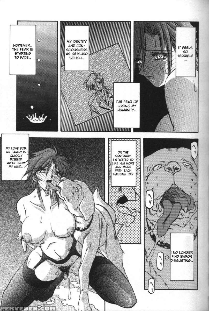 Sein -zain- 1