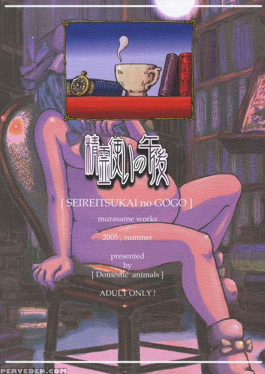 Seireitsukai No Gogo 1