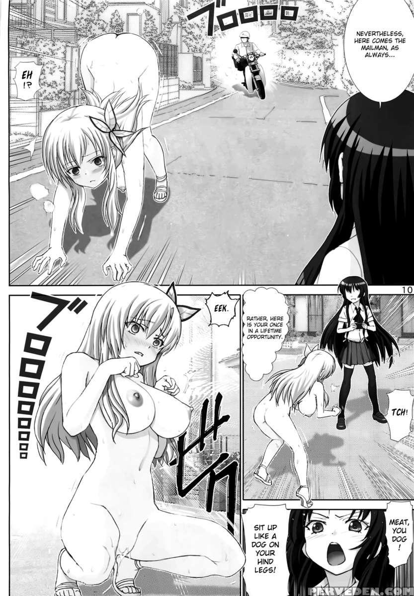 Sena's Erotic Display 1