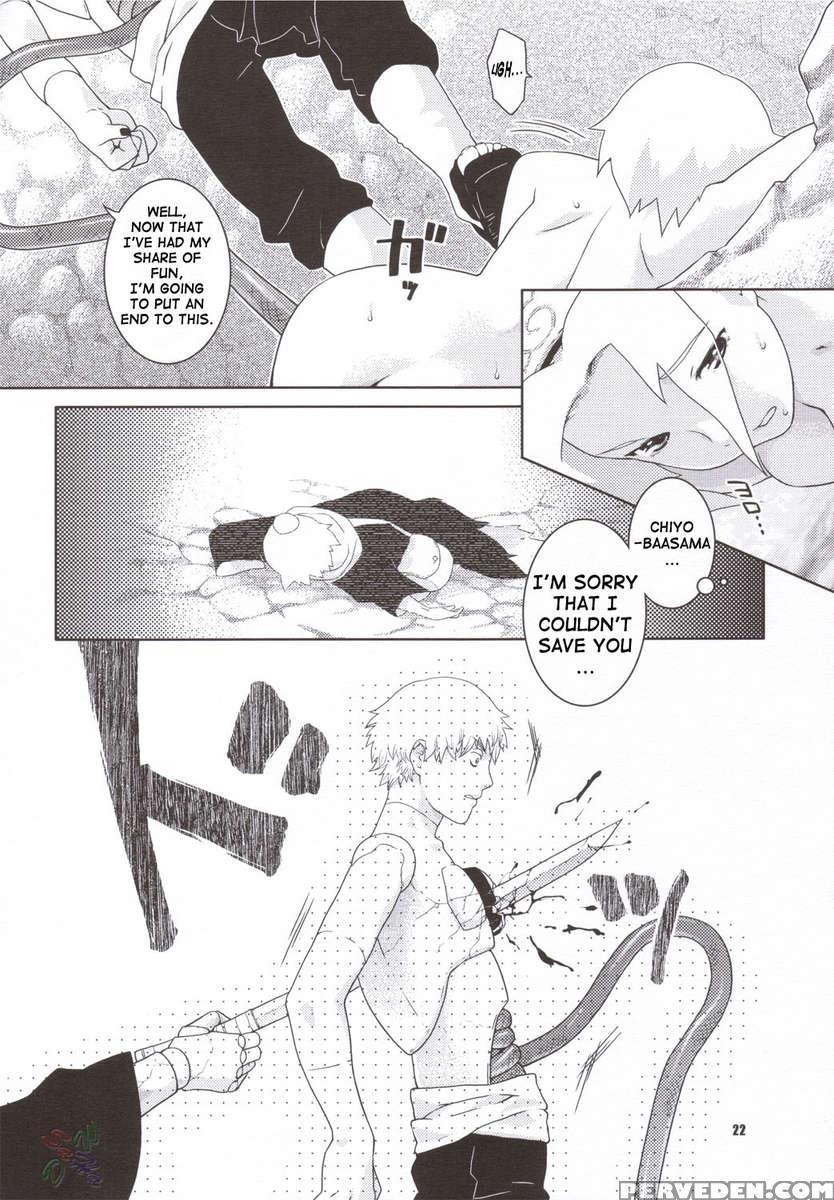 Shidare Zakura 1