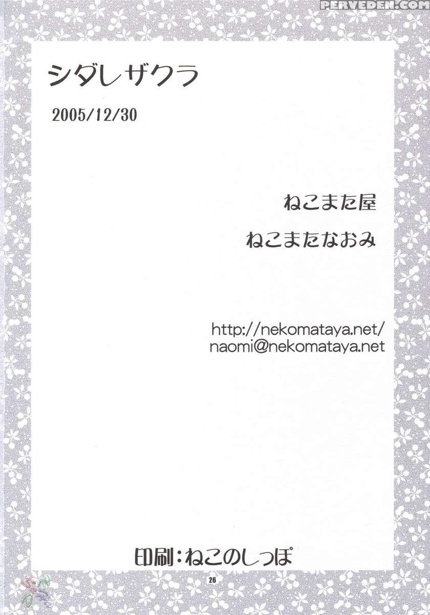 Shidare Zakura 1