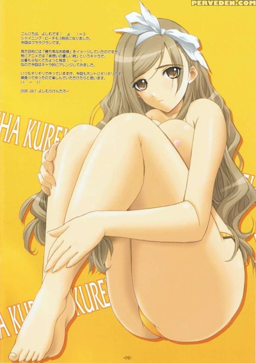 Shining Beach 3 1
