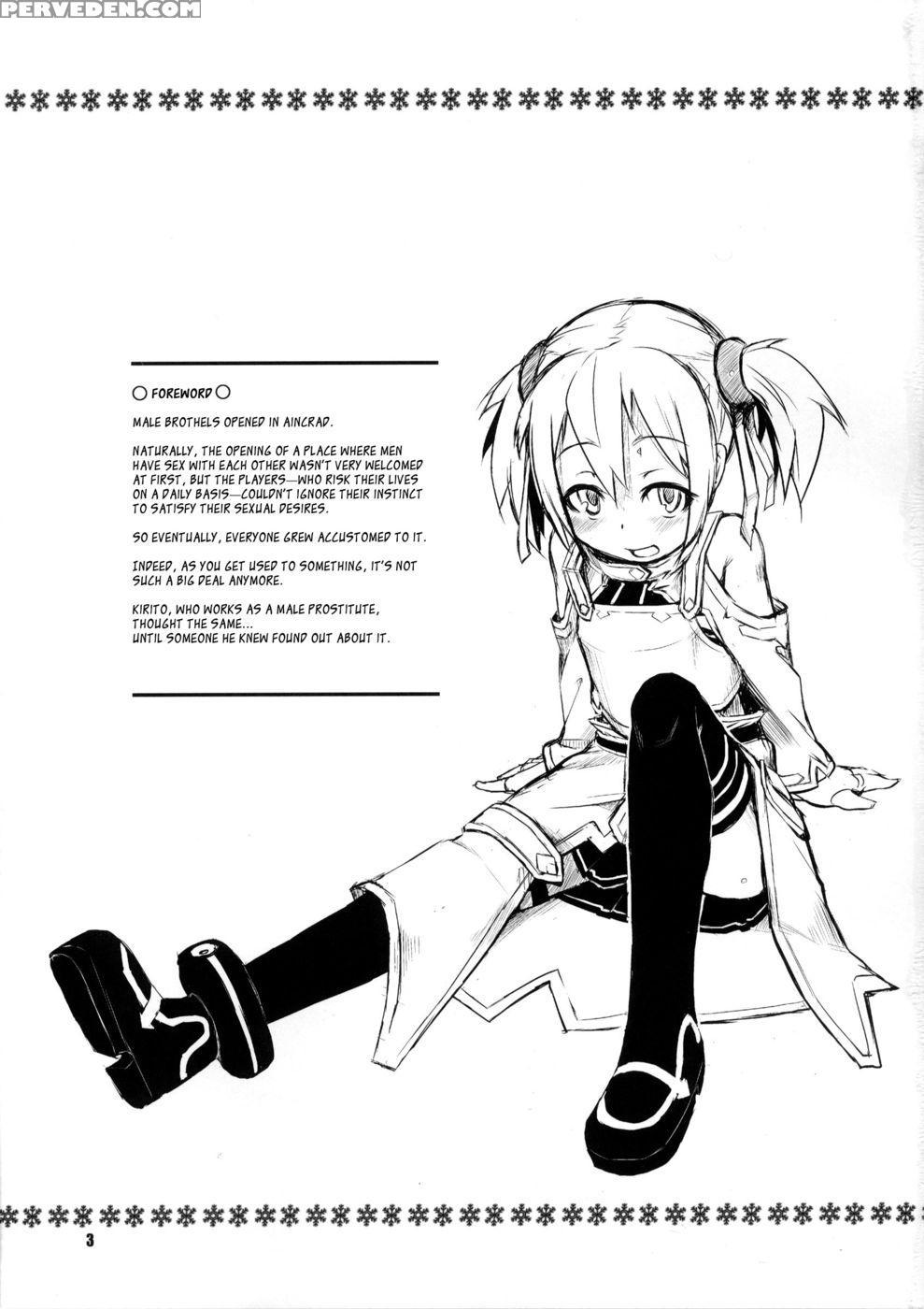 Silica-chan Playing With Your Butt Book - Sword Art Online 1