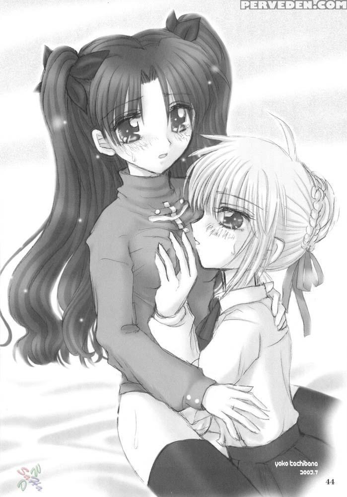Sisters Syrups - Fate Stay Night 1