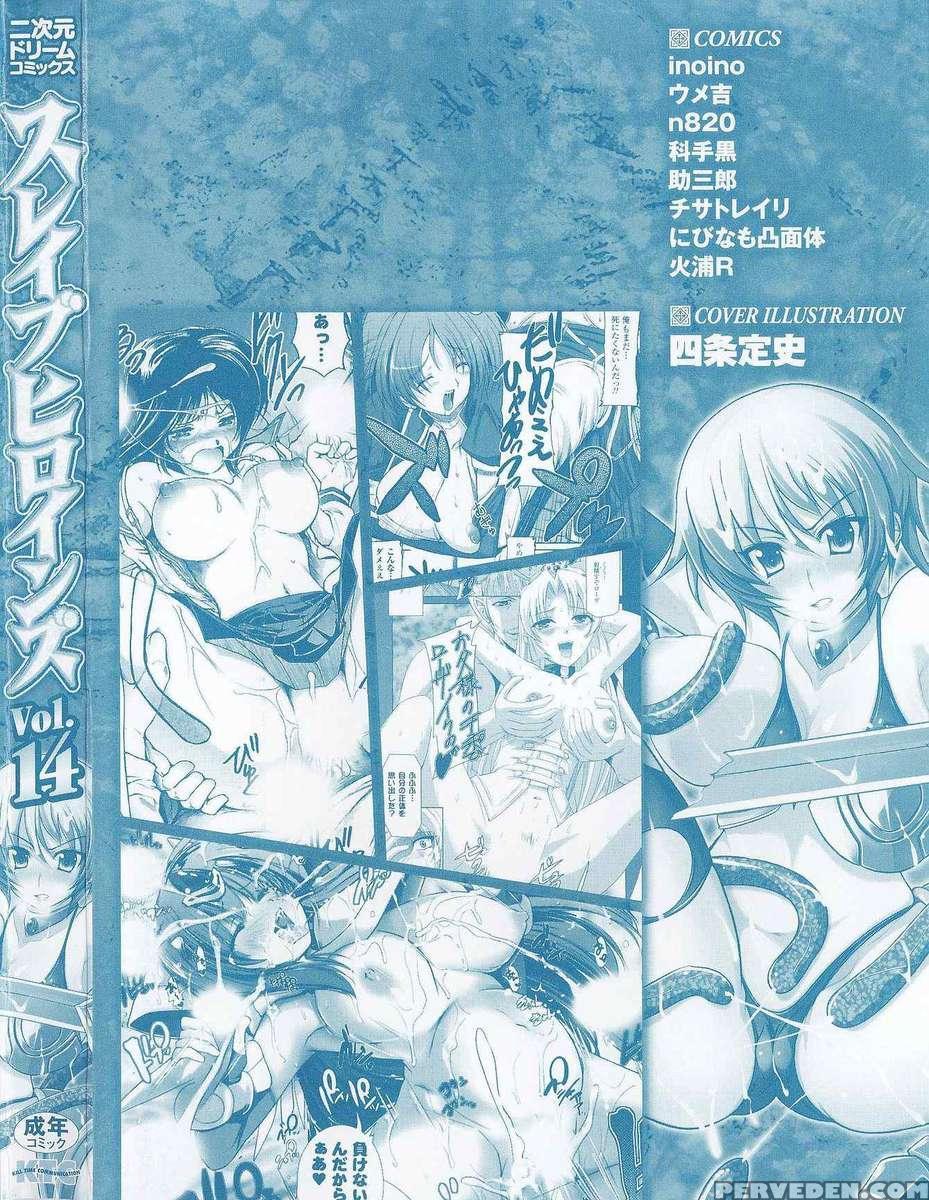 Slave Heroines Vol 14 1