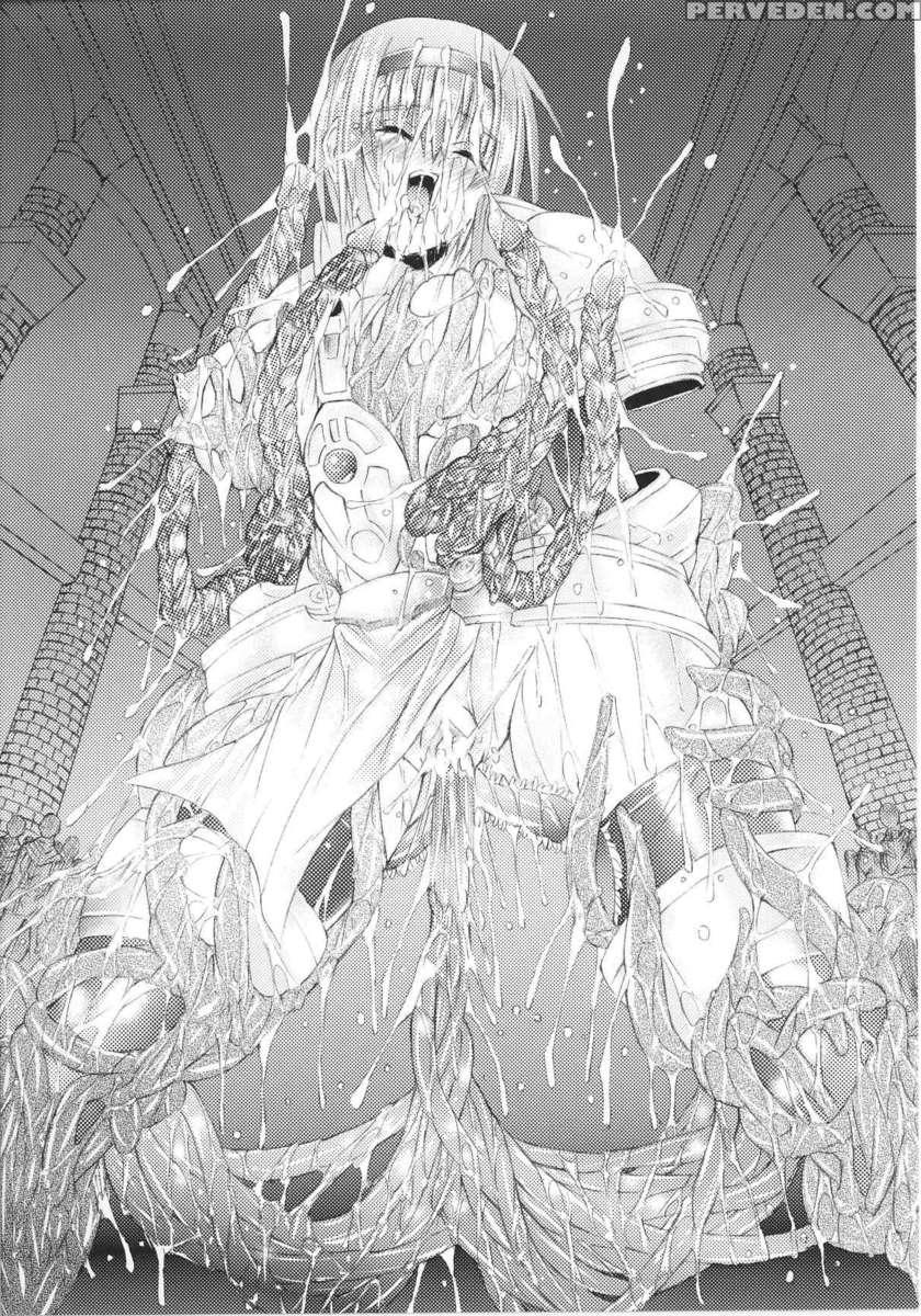 Slave Heroines Vol 14 1