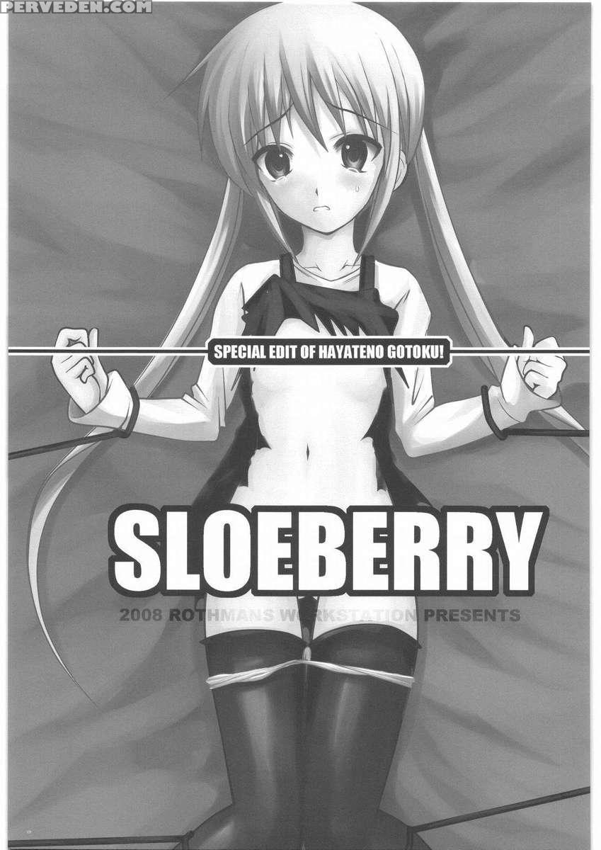 Sloeberry 1