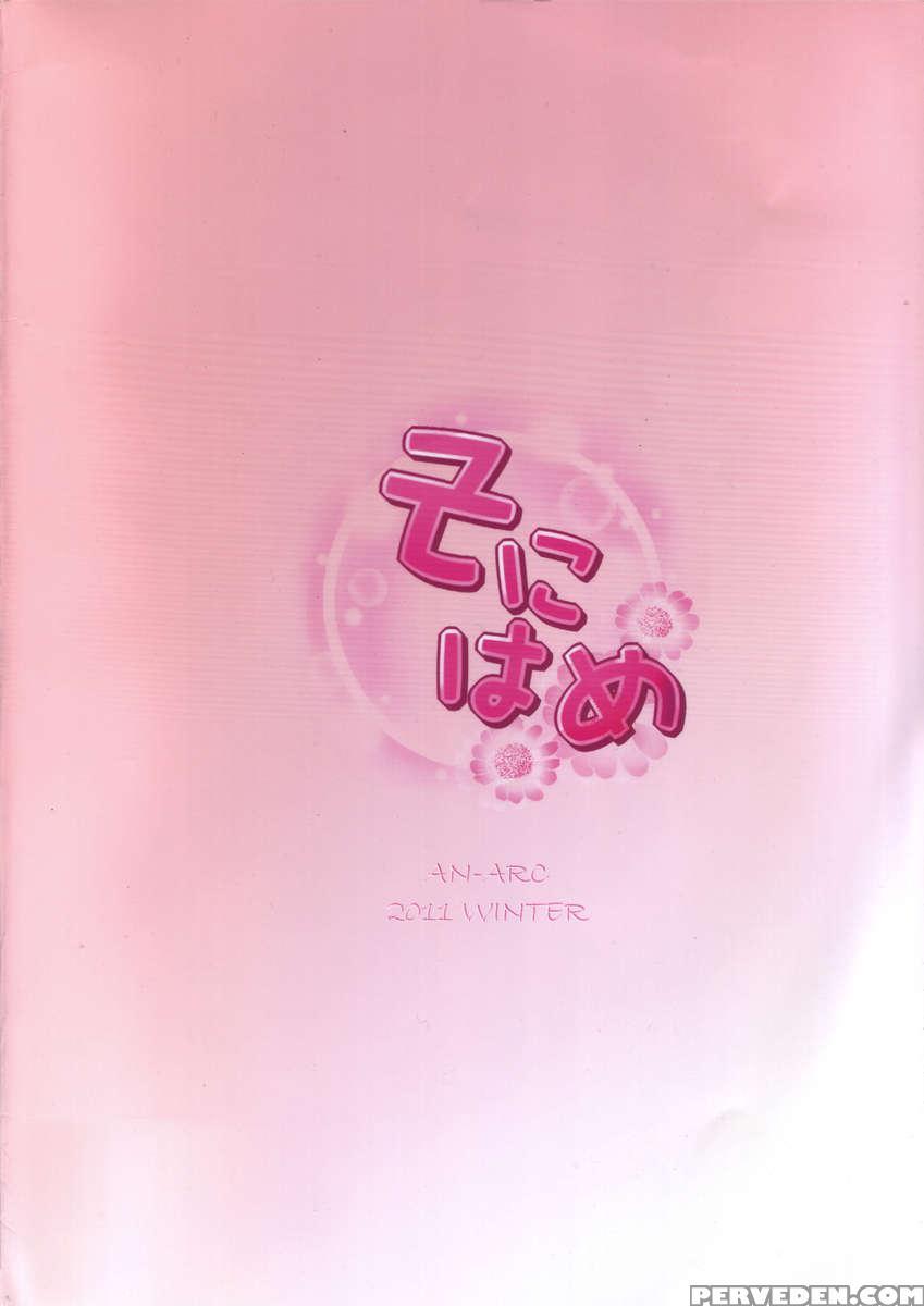 Sonihame 1