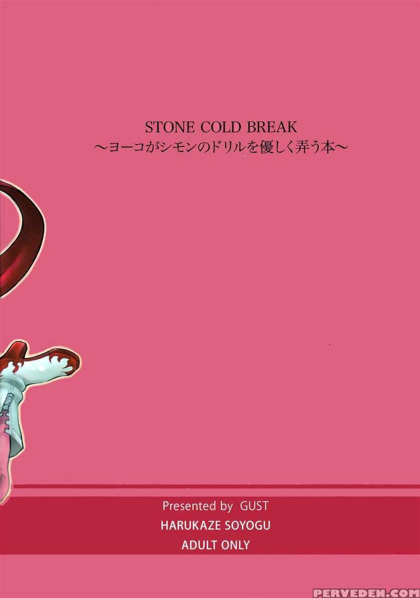 Stone Cold Break 1