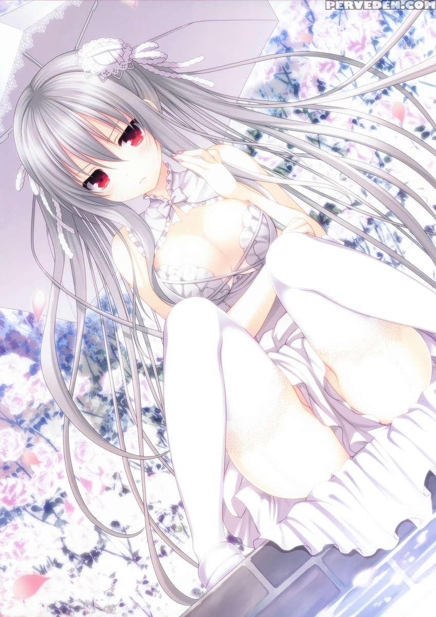 Summer:milk 1