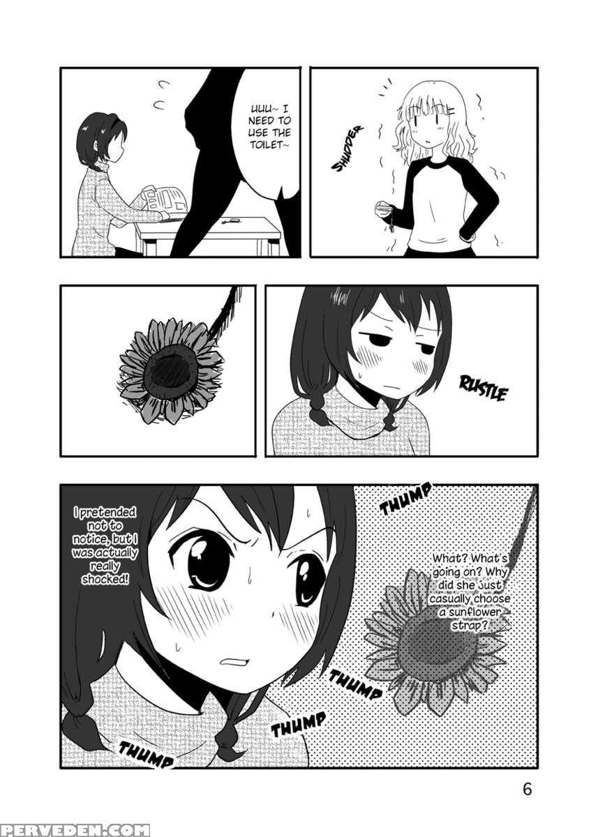 Sweet Sunflower, Blooming Sakura 1