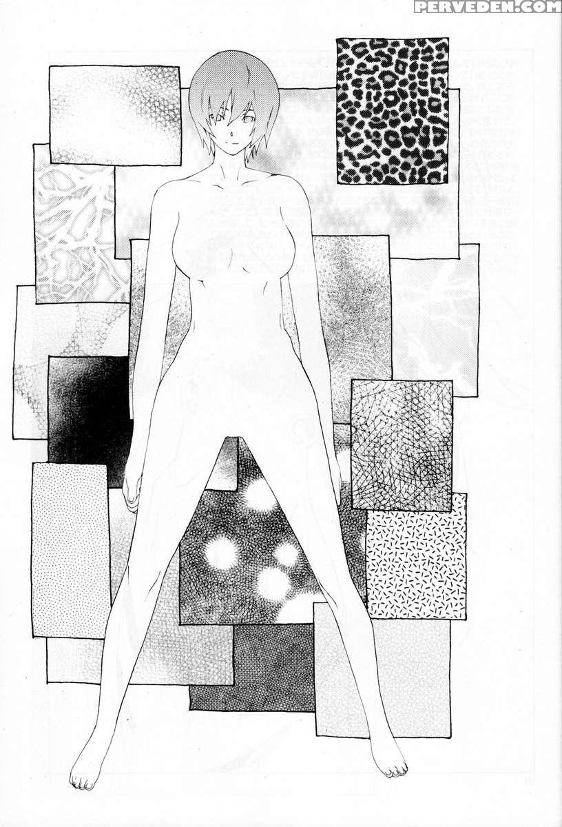 Synchrocord 7 1