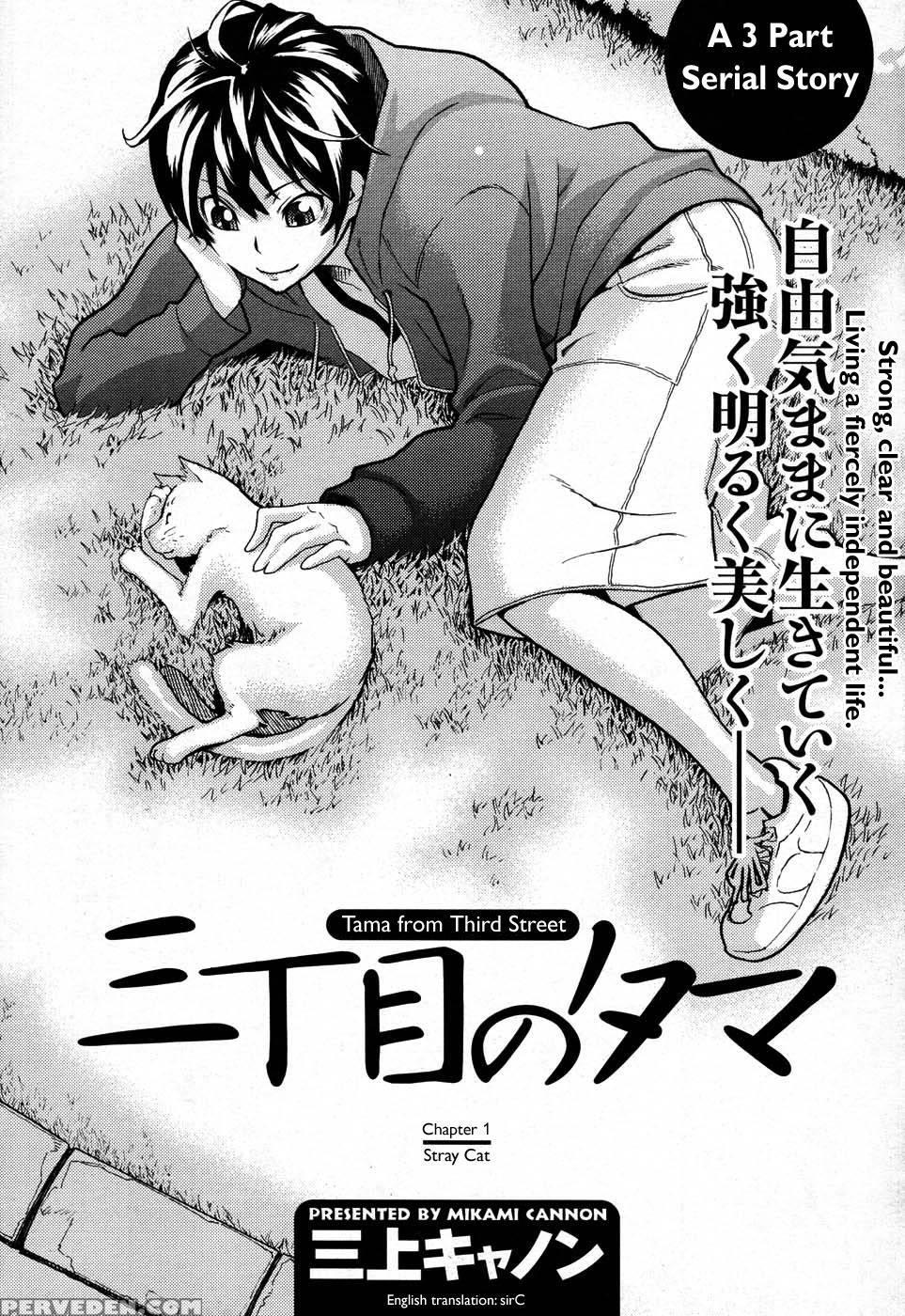 Tama From Third Street - Chapter 1 - Mikami Cannon 1