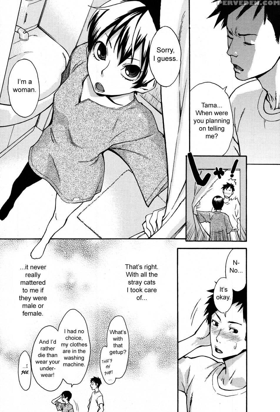 Tama From Third Street - Chapter 1 - Mikami Cannon 1