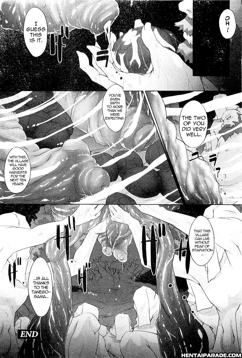 Tanego-sama 1