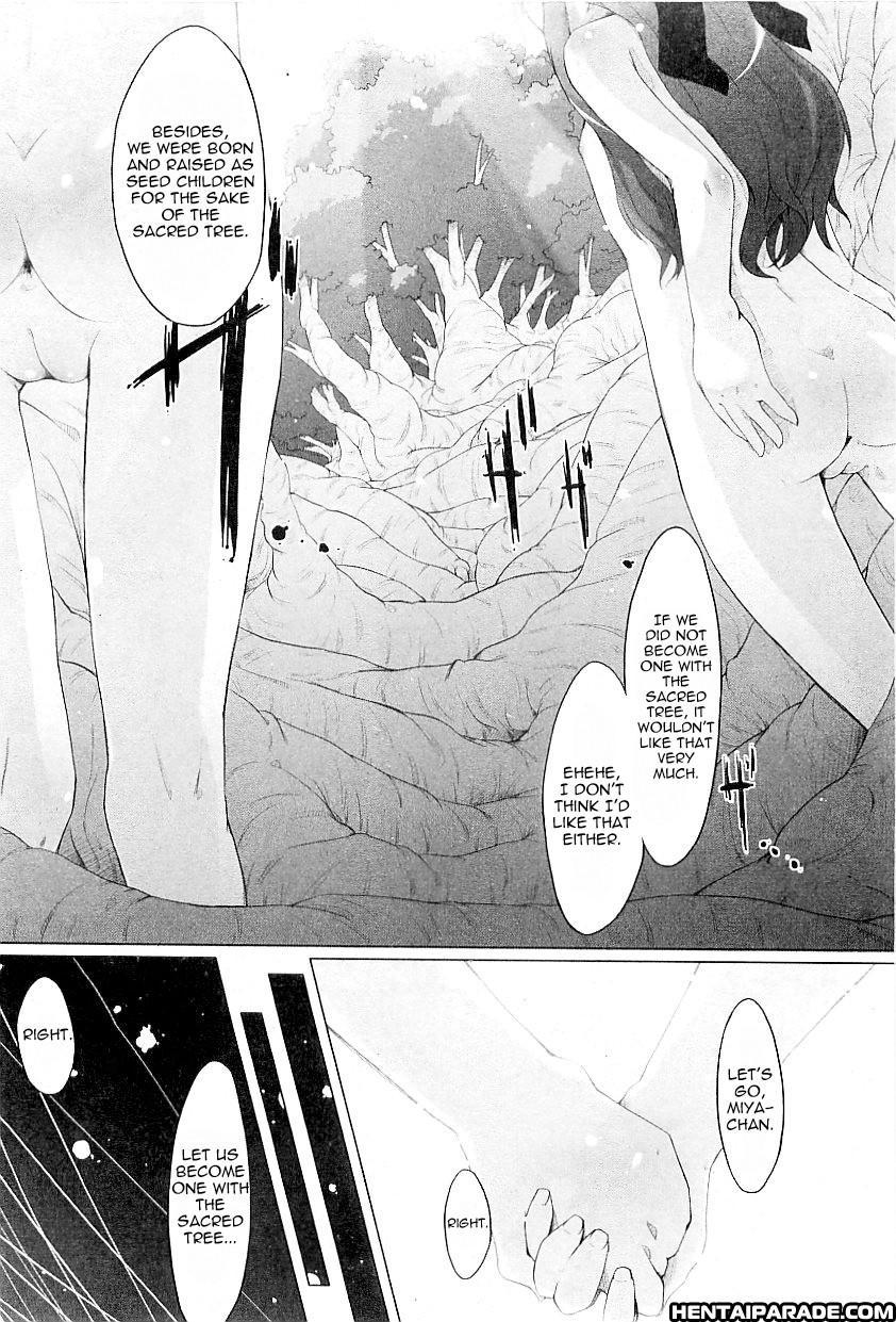 Tanego-sama 1