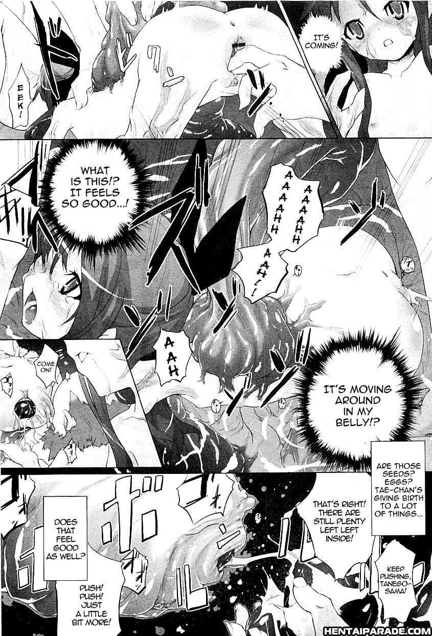 Tanego-sama 1