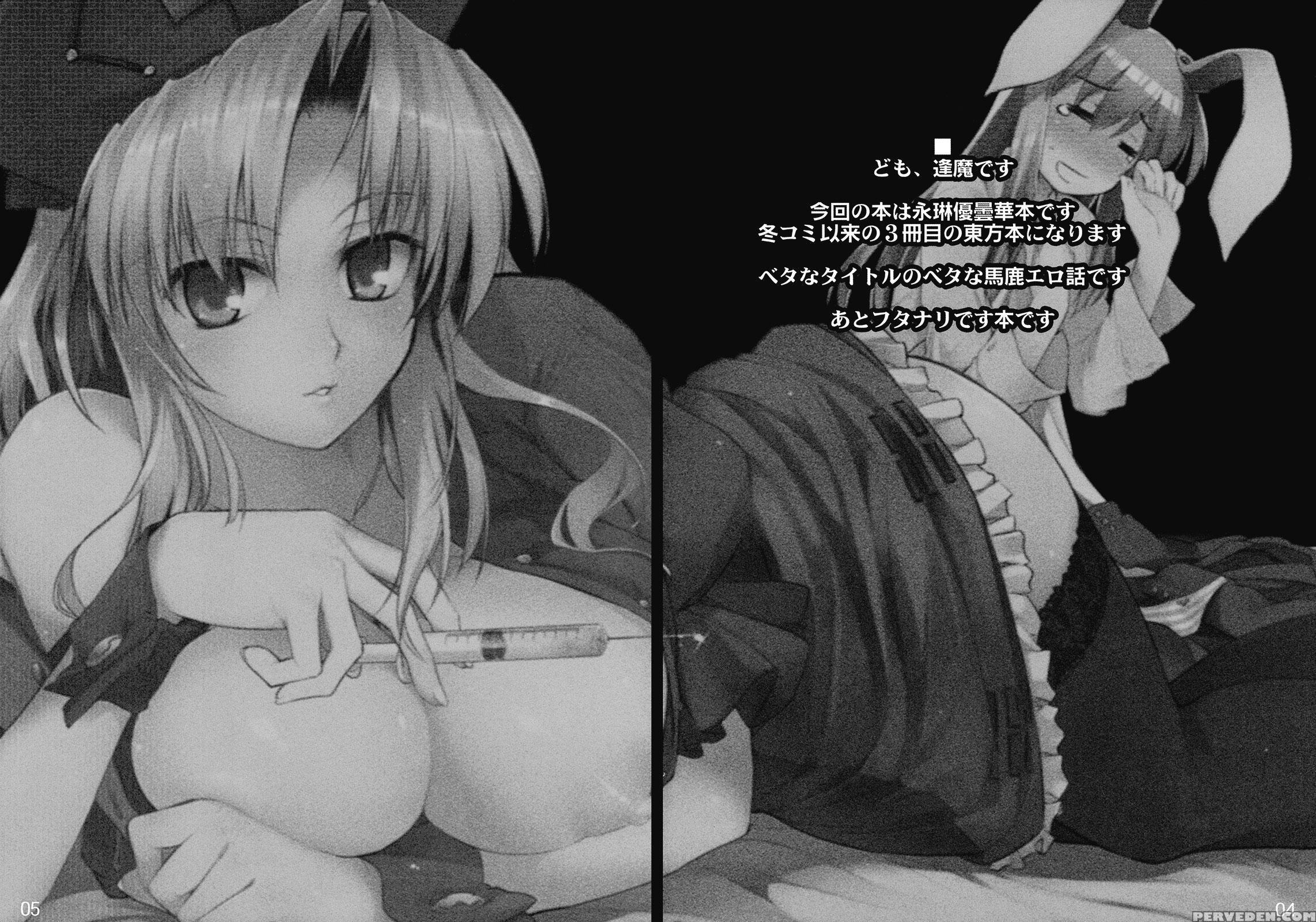 Terrible Things Happen To Udonge Due To Eirin's Drugs Book - Touhou 1
