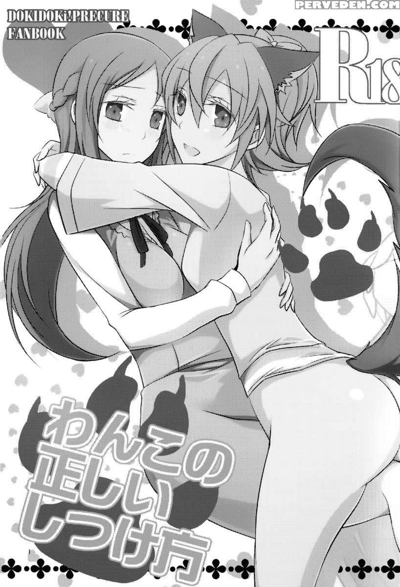 The Correct Way To Train A Puppy 1