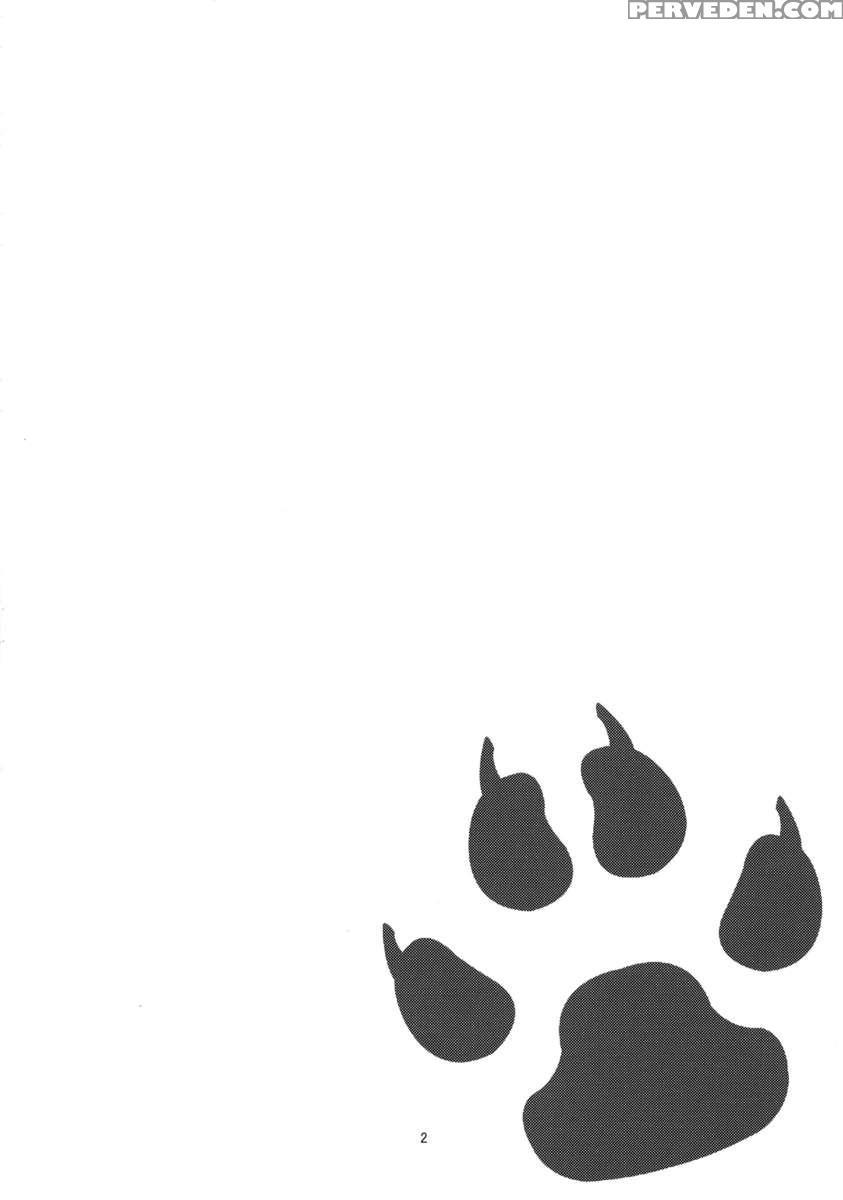 The Correct Way To Train A Puppy 1