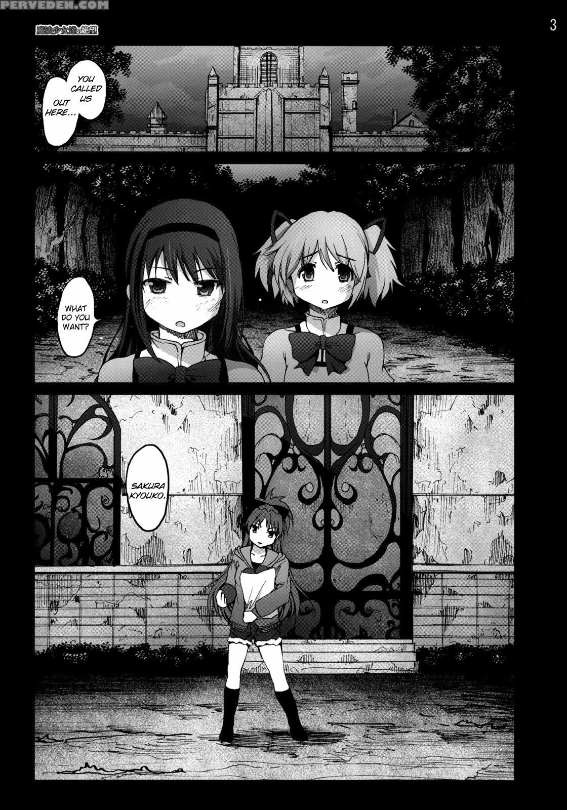 The Despair Of The Puella Magi - Puella Magi Madoka Magica 1