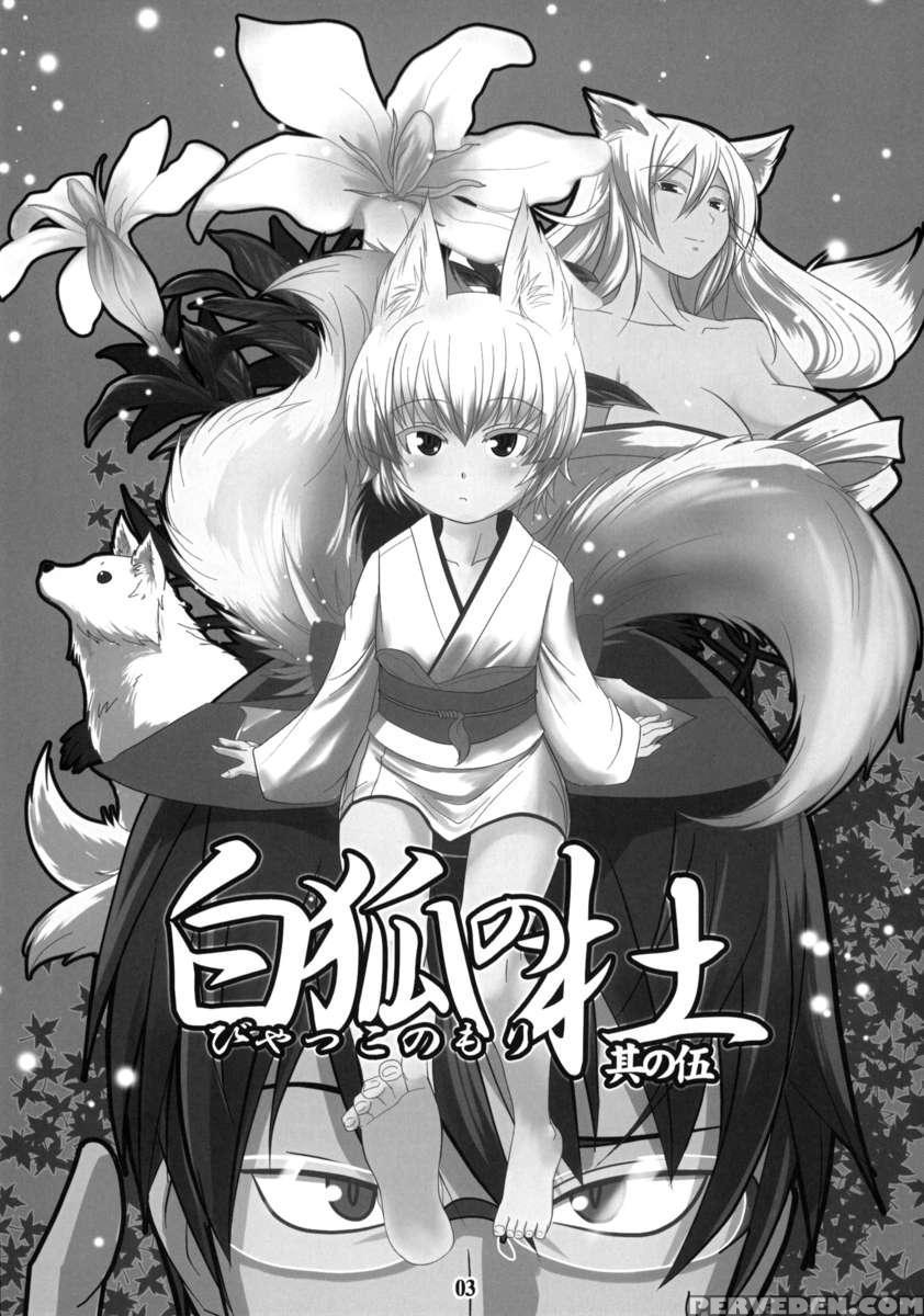 The Forest Of The White Fox 5 1