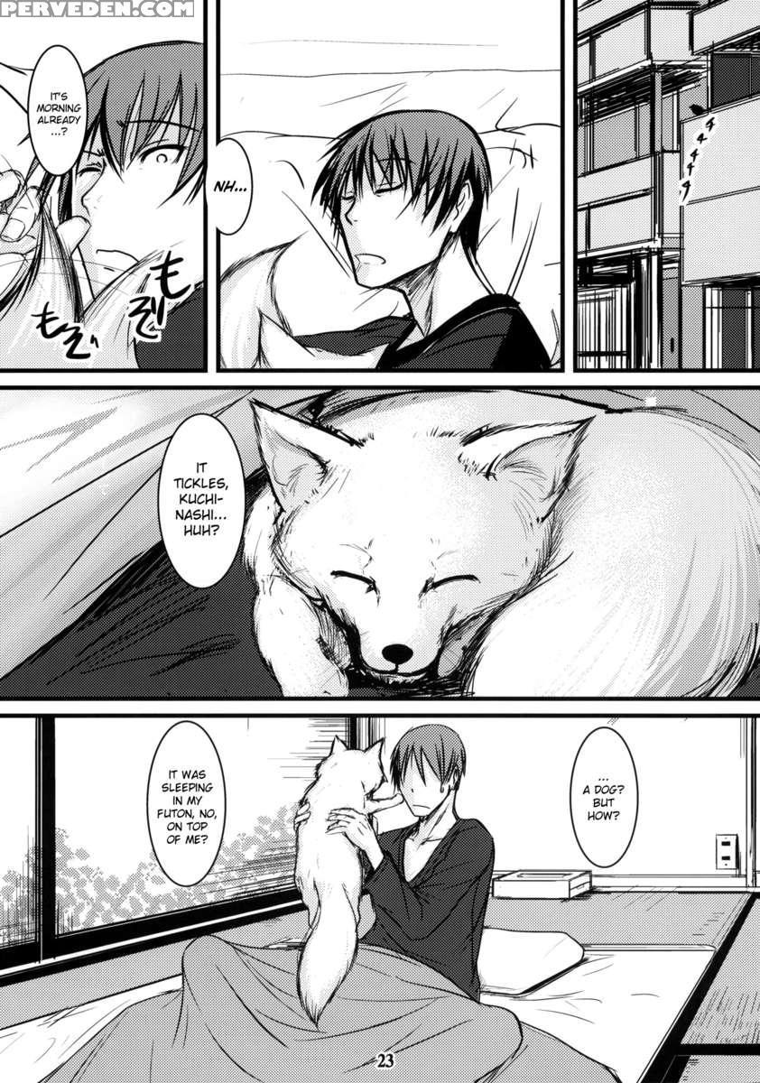 The Forest Of The White Fox 5 1