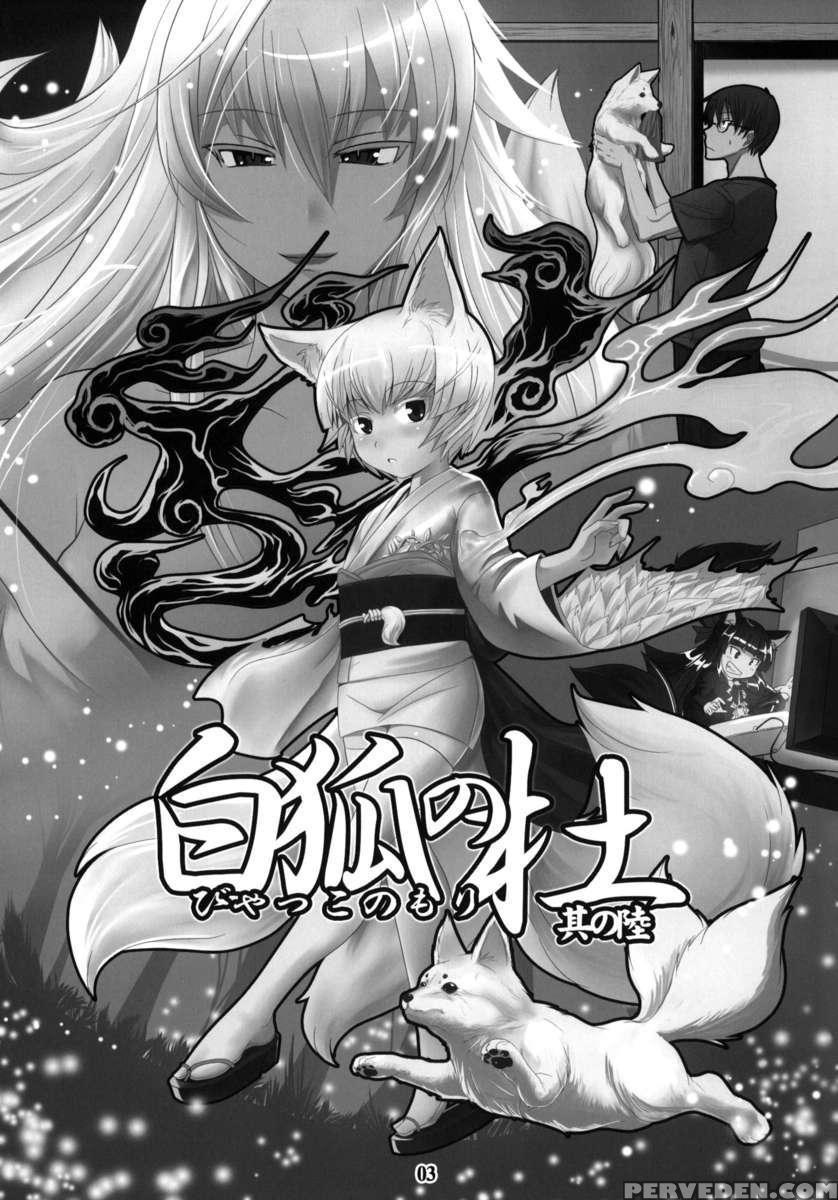 The Forest Of The White Fox 6 1