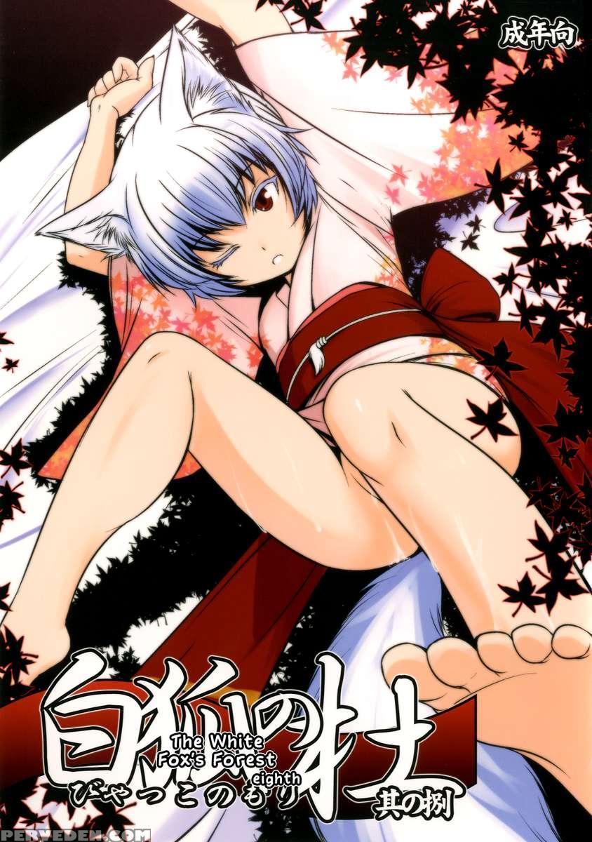 The Forest Of The White Fox 8 1