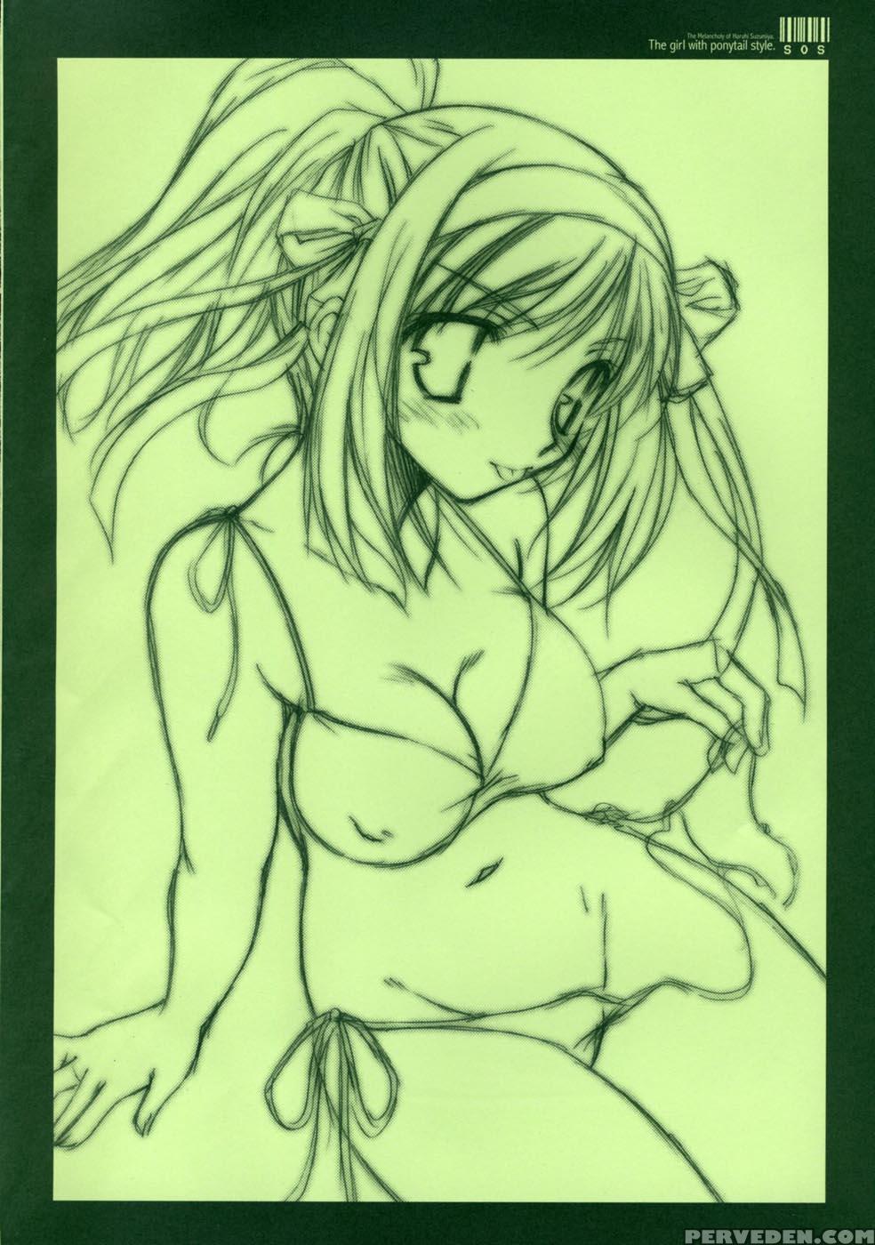 The Girl With Ponytail Style - The Melancholy Of Haruhi Suzumiya 1