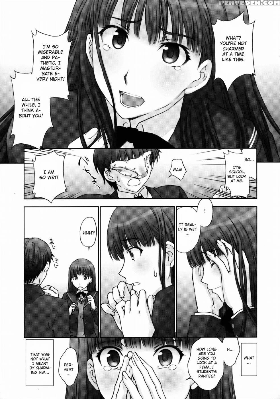 The Masked Honor Student And The Perverted Gentleman - Amagami 1