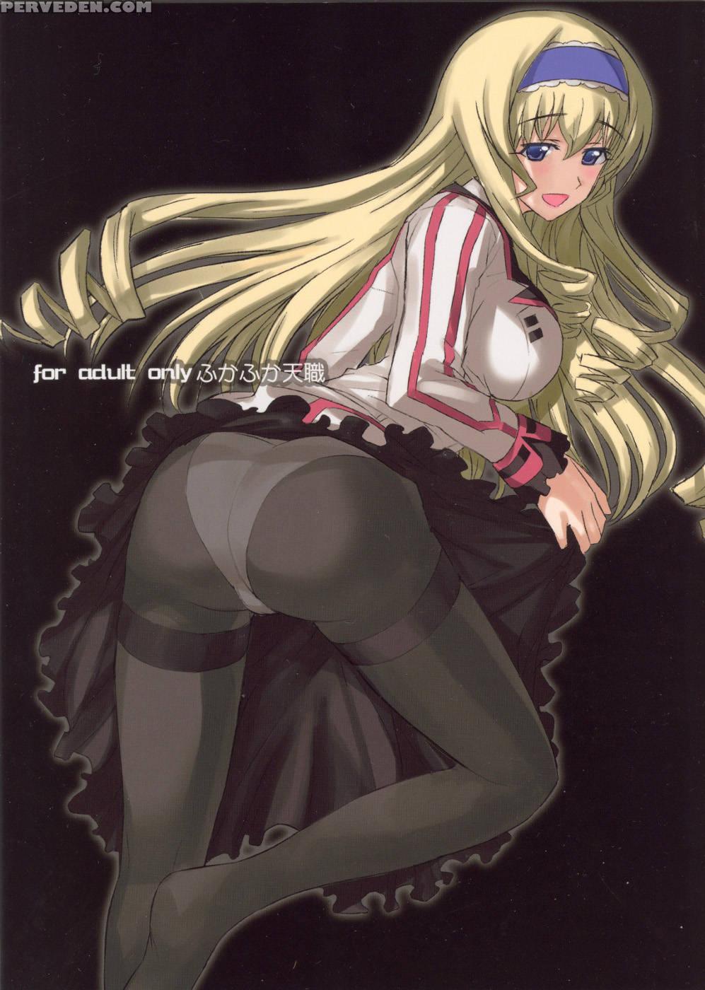 The Melancholy Of Cecilia - Infinite Stratos 1